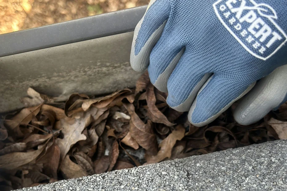 Gutter Cleaning Ormond Beach FL