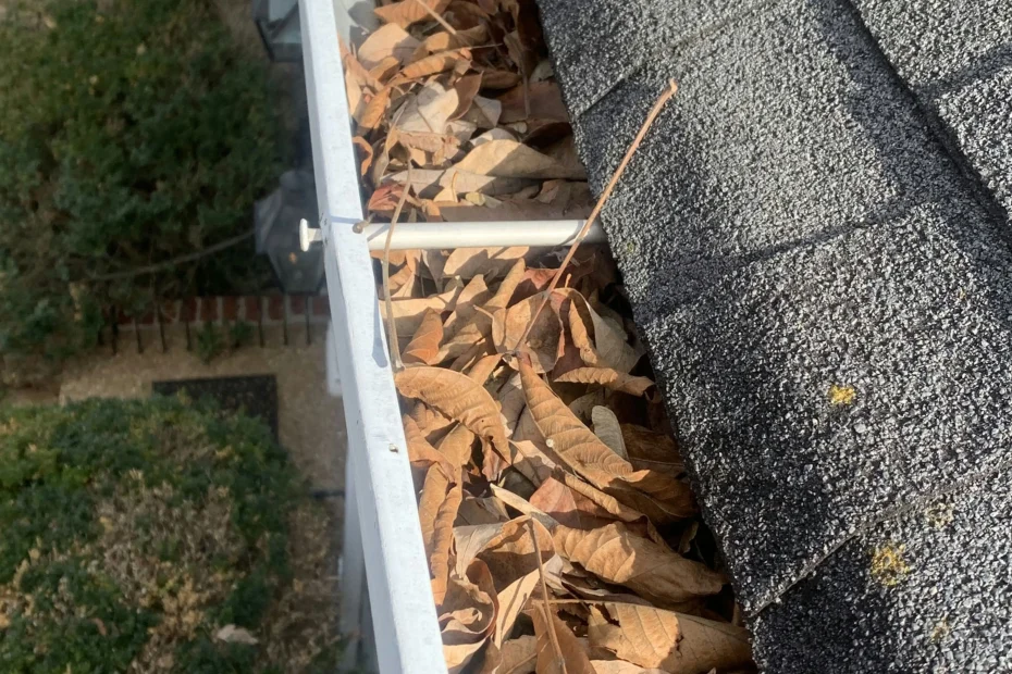 Gutter Cleaning Ormond Beach FL