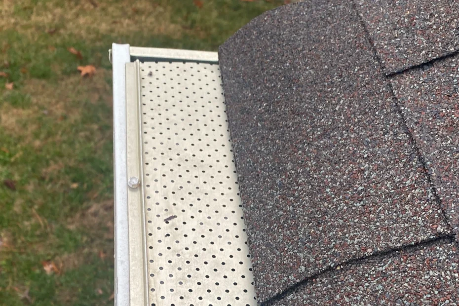 Gutter Cleaning Ormond Beach FL